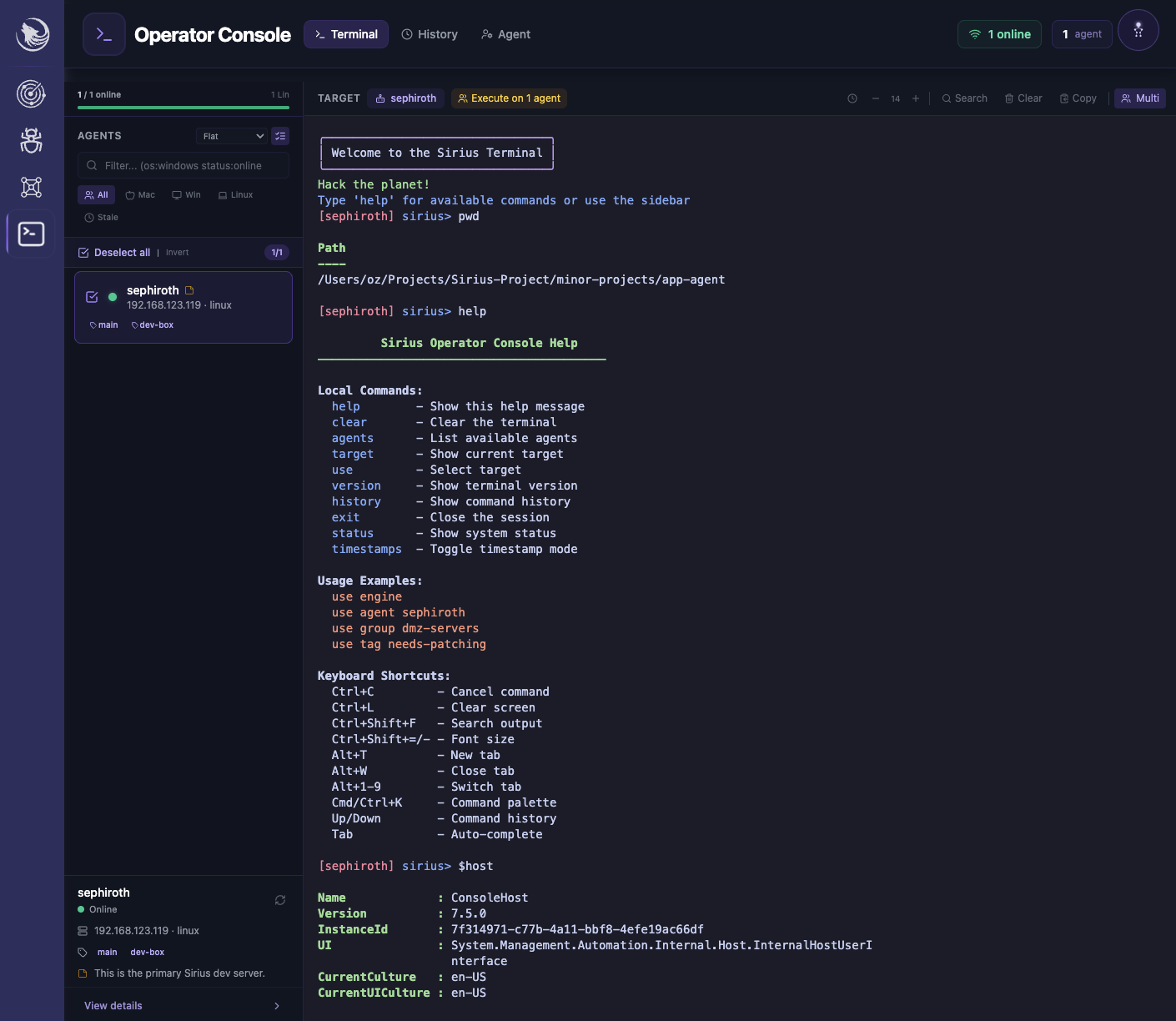 Operator Console terminal with interactive command input and execution output